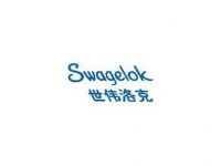 swagelokΰ˷