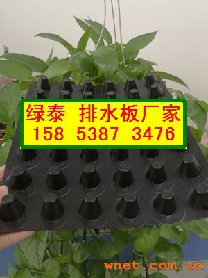 点击放大