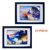 ƽP3040ϵ