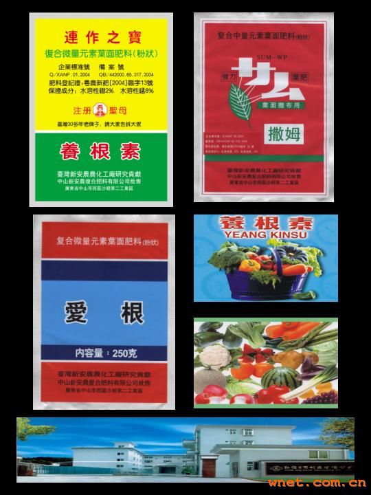 点击放大