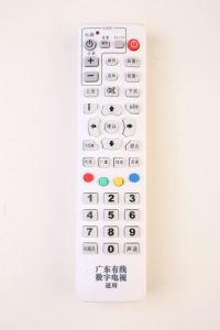广东有线